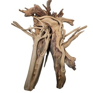 Natural Driftwood Aquarium Terrarium Decor 16 Inch Tan Large Root Sculpture